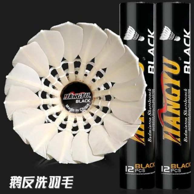 训练备战聚焦：第824组阵容视角深度解析